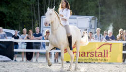 Er sucht sie cavallo